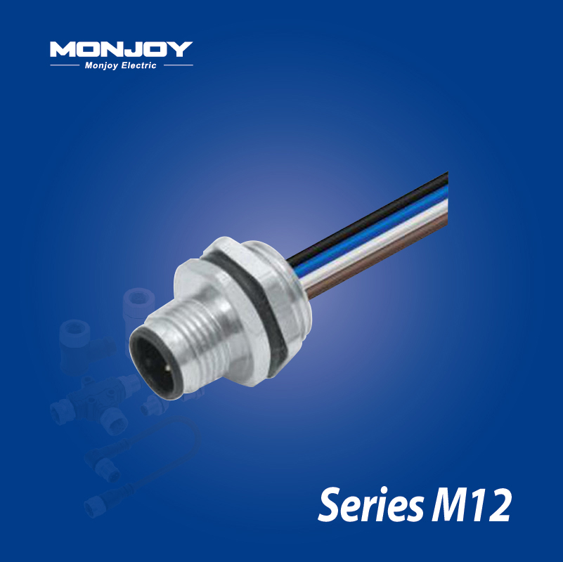 M12*1.0，D標準，針，帶連接線， 板后，底座（L=0.2m）