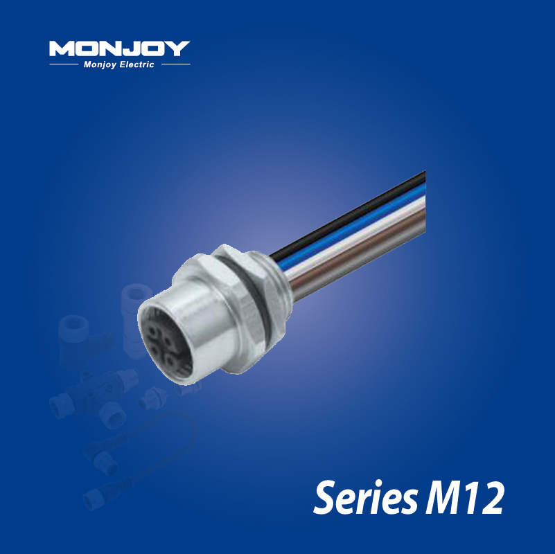M12*1.0，A標準，孔，帶連接線， 板后，底座（L=0.2m）